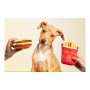 Jouet pour chien Gloria Hamburdog 14 x 6 cm Hamburgers de Gloria, Jouets en peluche - Réf : S6101020, Prix : 6,30 €, Remise : %