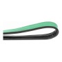 Dog Lead Gloria 1.8 x 100 cm Green by Gloria, Leads - Ref: S6101059, Price: 11,95 €, Discount: %