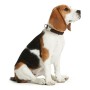 Coleira para Cães Hunter Alu-Strong Cinzento Tamanho L (45-65 cm) | Tienda24 - Global Online Shop Tienda24.eu