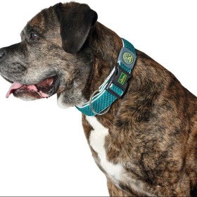 Collar para Perro Hunter Plus Hilo Turquesa 11 de Hunter, Collares - Ref: S6101296, Precio: 15,06 €, Descuento: %