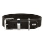 Collar para Perro Hunter Aalborg Negro (24-30 cm) de Hunter, Collares - Ref: S6101311, Precio: 19,98 €, Descuento: %