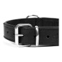 Dog collar Gloria Drymilled Black (30 x 1,5 cm) by Gloria, Collars - Ref: S6101467, Price: 7,68 €, Discount: %