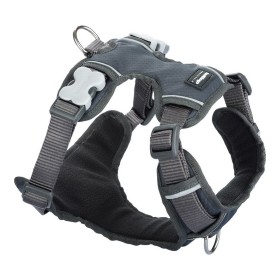 Dog Harness Gloria Trek Star 33,4-35 cm 51-52 cm Turquoise L | Tienda24 - Global Online Shop Tienda24.eu