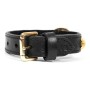 Coleira para Cães Gloria Duna Preto Dourado (35 x 2 cm) de Gloria, Coleiras - Ref: S6102059, Preço: 9,98 €, Desconto: %