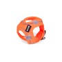 Imbracatura per Cani Gloria Trek Star 29,4-32,6 cm 41,4-43 cm Arancio S | Tienda24 - Global Online Shop Tienda24.eu