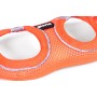 Imbracatura per Cani Gloria Trek Star 29,4-32,6 cm 41,4-43 cm Arancio S | Tienda24 - Global Online Shop Tienda24.eu