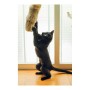 Cat toy Gloria Gehry Cushion (40 x 11 cm) by Gloria, Interactive toys - Ref: S6102230, Price: 9,47 €, Discount: %