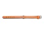 Hundehalsband Gloria Polsterung Orange 35 cm (35 x 1,5 cm) | Tienda24 - Global Online Shop Tienda24.eu