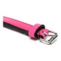 Collier pour Chien Gloria Rembourré Fuchsia (40 x 2 cm) de Gloria, Colliers - Réf : S6102422, Prix : 7,44 €, Remise : %