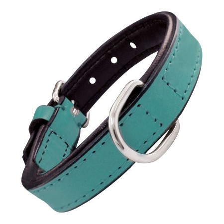 Dog collar Gloria Padded Turquoise 40 cm (40 x 2 cm) by Gloria, Collars - Ref: S6102423, Price: 7,44 €, Discount: %