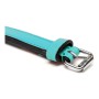 Dog collar Gloria Padded Turquoise 40 cm (40 x 2 cm) | Tienda24 - Global Online Shop Tienda24.eu