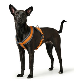 Dog Harness Hunter London Comfort 39-47 cm Orange XS/S by Hunter, Harnesses - Ref: S6102562, Price: 7,55 €, Discount: %