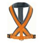 Dog Harness Hunter London Comfort 48-56 cm Orange Size S/M by Hunter, Harnesses - Ref: S6102569, Price: 9,60 €, Discount: %