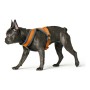 Dog Harness Hunter London Comfort 48-56 cm Orange Size S/M by Hunter, Harnesses - Ref: S6102569, Price: 9,60 €, Discount: %