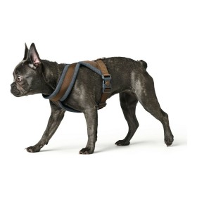 Arnês para Cães Trixie Premium Azul Claro M/L | Tienda24 - Global Online Shop Tienda24.eu