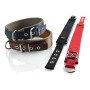 Collar para Perro Hunter Neoprene Reflect Rojo (49-56 cm) de Hunter, Collares - Ref: S6102730, Precio: 19,09 €, Descuento: %