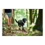 Guinzaglio per Cani Hunter HILO Lime (200 cm) di Hunter, Guinzagli - Rif: S6102752, Prezzo: 21,60 €, Sconto: %