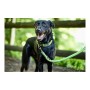 Guinzaglio per Cani Hunter HILO Lime (200 cm) di Hunter, Guinzagli - Rif: S6102752, Prezzo: 21,60 €, Sconto: %