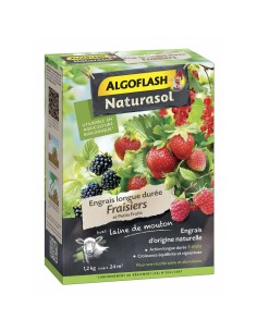 Plant fertiliser Algoflash AG3BIO250 Grass 3-in-1 10 kg | Tienda24 Tienda24.eu