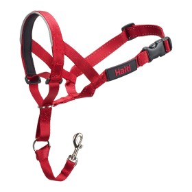 Collier d'entraînement pour chiens Company of Animals Halti Noir Muselière (46-62 cm) | Tienda24 - Global Online Shop Tienda24.eu