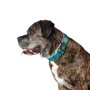 Dog collar Hunter Plus Thread turquoise Turquoise Size XL (45-70 cm) by Hunter, Collars - Ref: S6102830, Price: 16,61 €, Disc...