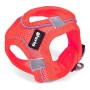 Imbracatura per Cani Gloria Air Mesh Trek Star Regolabile Rosa L (33,4-35 cm) | Tienda24 - Global Online Shop Tienda24.eu