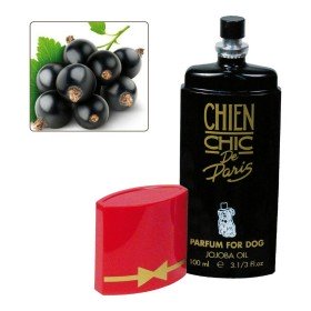 Parfum pour animaux domestiques Chien Chic Chien Cassis (100 ml) de Chien Chic, Colonies - Réf : S6102973, Prix : 14,80 €, Re...