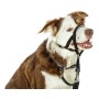 Collari da addestramento per cani Company of Animals Halti Nero Museruola (29-36 cm) di Company of Animals, Collari da addest...