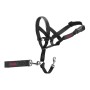 Collari da addestramento per cani Company of Animals Halti Nero Museruola (29-36 cm) di Company of Animals, Collari da addest...