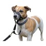 Dressurhalsband für Hunde Company of Animals Halti Schwarz Maulkorb (31-40 cm) von Company of Animals, Trainingshalsbänder - ...