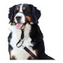 Collari da addestramento per cani Company of Animals Halti Nero Museruola (46-62 cm) | Tienda24 - Global Online Shop Tienda24.eu