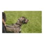 Dressurhalsband für Hunde Company of Animals Halti Schwarz Maulkorb (51-73 cm) von Company of Animals, Trainingshalsbänder - ...