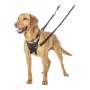 Dog Harness Company of Animals Halti Size M (34-56 cm) by Company of Animals, Harnesses - Ref: S6103611, Price: 21,25 €, Disc...