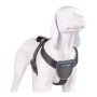 Dog Harness Company of Animals CarSafe Black XS by Company of Animals, Safety Harnesses - Ref: S6103613, Price: 18,83 €, Disc...