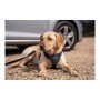 Dog Harness Company of Animals CarSafe Black Size S by Company of Animals, Safety Harnesses - Ref: S6103614, Price: 19,52 €, ...