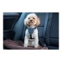 Imbracatura per Cani Company of Animals CarSafe Nero Taglia S di Company of Animals, Redini primi passi - Rif: S6103614, Prez...