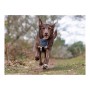 Imbracatura per Cani Company of Animals CarSafe Nero Taglia S di Company of Animals, Redini primi passi - Rif: S6103614, Prez...