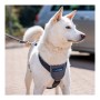 Harnais pour Chien Company of Animals CarSafe Noir Taille M | Tienda24 - Global Online Shop Tienda24.eu