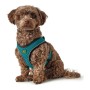 Dog Harness Hunter Hilo Comfort 55-60 cm Size M Turquoise by Hunter, Harnesses - Ref: S6103683, Price: 19,78 €, Discount: %