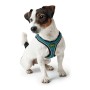 Dog Harness Hunter Hilo Comfort 55-60 cm Size M Turquoise by Hunter, Harnesses - Ref: S6103683, Price: 19,78 €, Discount: %