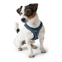 Arnés para Perro Hunter 35-37 cm Azul XS de Hunter, Arneses - Ref: S6103693, Precio: 17,52 €, Descuento: %