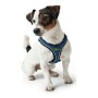 Harnais pour Chien Hunter Hilo-Comfort Bleu Taille S (42-48 cm) | Tienda24 - Global Online Shop Tienda24.eu