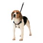 Arnés para Perro Gloria 30-42 cm Talla M de Gloria, Arneses - Ref: S6103715, Precio: 12,77 €, Descuento: %