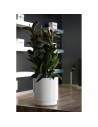 Pot Plastiken Blanc Plastique Carré Ø 38 cm | Tienda24 Tienda24.eu