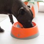 Comedero para Perro Lickimat Oh Bowl Naranja de Lickimat, Platos - Ref: S6103953, Precio: 11,99 €, Descuento: %