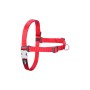 Harnais pour Chien Red Dingo 30-42 cm Rouge XS de Red Dingo, Harnais - Réf : S6104041, Prix : 6,57 €, Remise : %