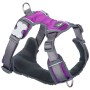 Harnais pour Chien Red Dingo Dingo 25-36 cm 31-43 cm Violet XS de Red Dingo, Harnais - Réf : S6104230, Prix : 23,87 €, Remise...