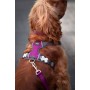 Arnés para Perro Red Dingo Dingo 25-36 cm 31-43 cm Morado XS de Red Dingo, Arneses - Ref: S6104230, Precio: 23,87 €, Descuent...