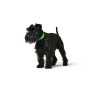 Collare per Cani Hunter Convenience 53-61 cm L/XL Verde | Tienda24 - Global Online Shop Tienda24.eu