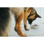 Comedouro para Cão Hunter Silicone Aço inoxidável 1,75 L | Tienda24 - Global Online Shop Tienda24.eu